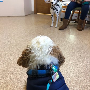 Cumberland Veterinary Hospital - Veterinarians Near Me - Vineland, New Jersey Cumberland Veterinary Hospital - Veterinarians Near Me - Vineland, New Jersey