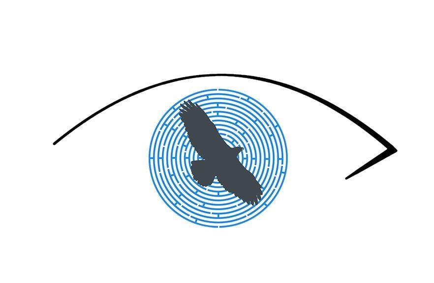 EAGLE EYE VISION CARE Updated September 2024 4048 River Rd N