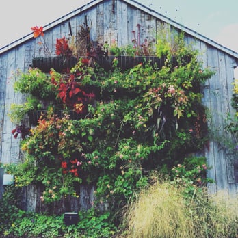 Terrain - Gorg - Nurseries & Gardening Near Me - Glen Mills, Pennsylvania