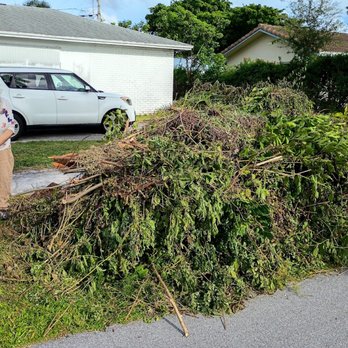 Pedro Landscaping Services - Look what they removed! - Tree Services Near Me - Lake Worth Beach, Florida
