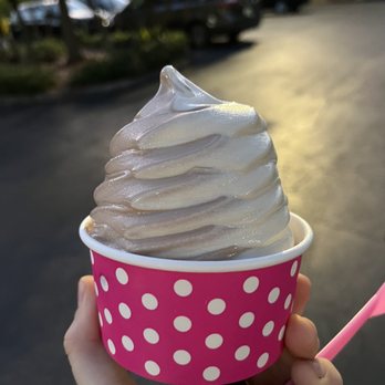 D’Lites Ice Cream - Ice Cream & Frozen Yogurt Near Me - Tampa, Florida D’Lites Ice Cream - Ice Cream & Frozen Yogurt Near Me - Tampa, Florida