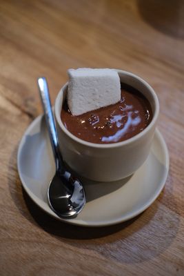 Spinnaker Chocolate by null