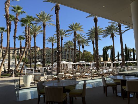 The Pool at Green Valley Ranch by null