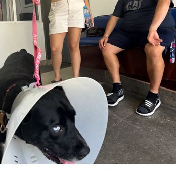 Vet Playas Veterinary Hospital - Veterinarians Near Me - Tijuana, BCN