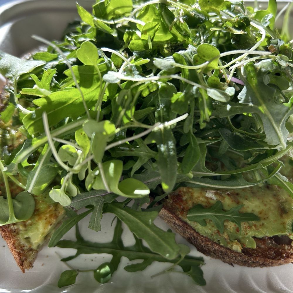 Avocado Toast with Greens  fermented amazing toast, avocado, harissa, arugula and micro greens topped with EVOO. Simply amazing!