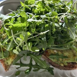Avocado Toast with Greens fermented amazing toast, avocado, harissa, arugula and micro greens topped with EVOO. Simply amazing! Avocado Toast with Greens fermented amazing toast, avocado, harissa, arugula and micro greens topped with EVOO. Simply amazing!