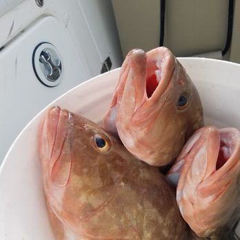 AM Charters - Fishing Near Me - Nokomis, Florida