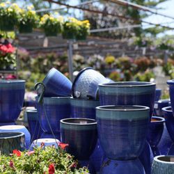 Mahoney's Garden Center