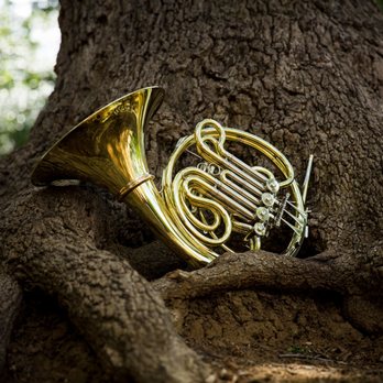 Houghton Horns - Schedule a consultation with a professional player to find the best horn for you! - Musical Instruments & Teachers Near Me - Keller, Texas