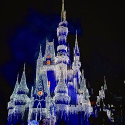 Magic Kingdom Park - The castle!