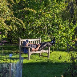 Relaxation