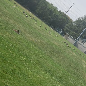 Central Park - Parks Near Me - Santa Clara, California