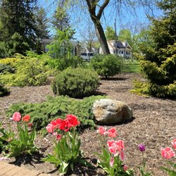 Carlls River Botanical Garden