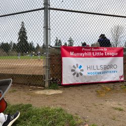 Hazeldale Dog Park - Baseball