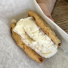 Double Chocolate Chip Cookie