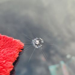 BMZ Auto Glass - WINDSHIELD REPAIR. LAREDO, TX