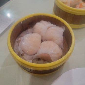 Star Kitchen - Dim Sum Near Me - Denver, Colorado