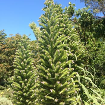WPA Rock Garden - Something new around every corner - Botanical Gardens Near Me - Sacramento, California