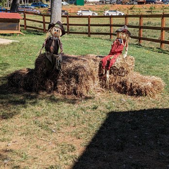 Spring Haven Farm - Farms Near Me - Chapel Hill, North Carolina
