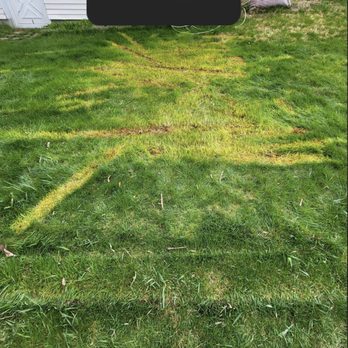 Mike And Nicks Removal Service - Junk Removal & Hauling Near Me Mike And Nicks Removal Service - Junk Removal & Hauling Near Me