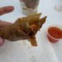Lumpia Creations