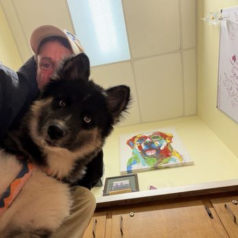 Ark Animal Hospital - Me and my puppy "Sushi" are in a treatment room together - Veterinarians Near Me - Surfside Beach, South Carolina Ark Animal Hospital - Me and my puppy "Sushi" are in a treatment room together - Veterinarians Near Me - Surfside Beach, South Carolina
