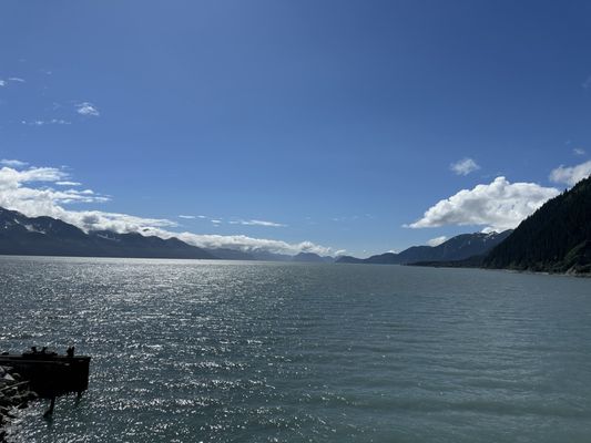 Alaska SeaLife Center by null