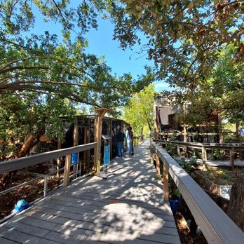 Florida Keys Wild Bird Sanctuary - Animal Shelters Near Me - Tavernier, Florida Florida Keys Wild Bird Sanctuary - Animal Shelters Near Me - Tavernier, Florida