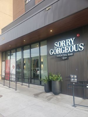 Sorry Gorgeous by null