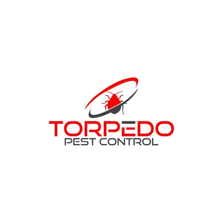 TORPEDO PEST CONTROL Updated September 2024 Request a Quote 156 E