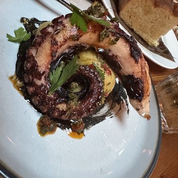 Gusto 101 - Grilled Octopus is excellent - Italian Near Me - Toronto, Ontario Gusto 101 - Grilled Octopus is excellent - Italian Near Me - Toronto, Ontario