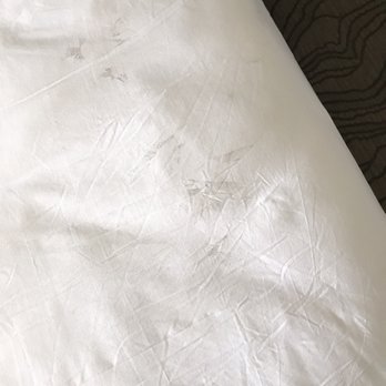 Denver Marriott Tech Center - I think someone walked on the sheets with their shoes on? - Hotels Near Me - Denver, Colorado
