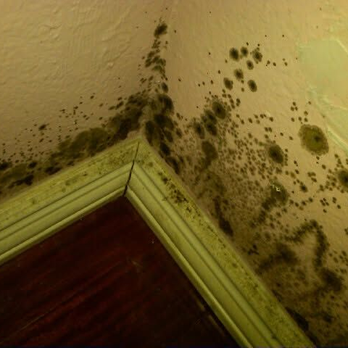 Pure-R Space - Damage Restoration Near Me - Irvine, California Pure-R Space - Damage Restoration Near Me - Irvine, California