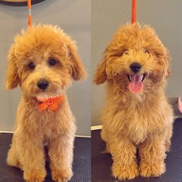 Before and After. Before and After.
