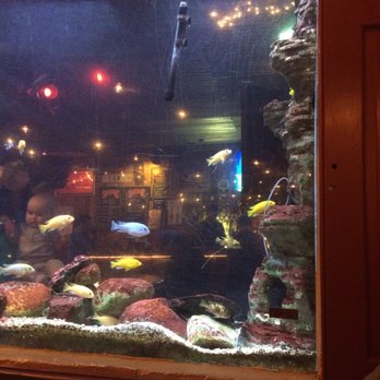 Fat Bob's Smokehouse - Fish! - Barbeque Near Me - Buffalo, New York