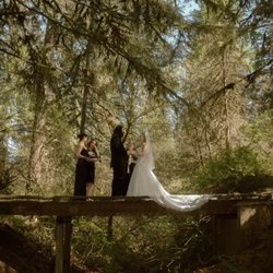 Royal Touch Cleaners - The dress that was dragged all over the forest came out white and clean!