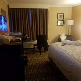 Room Room