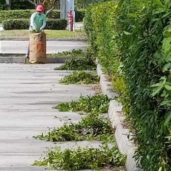 Suncrest Landscape Services - Commercial Landscape maintenance. - Lawn Services Near Me Suncrest Landscape Services - Commercial Landscape maintenance. - Lawn Services Near Me
