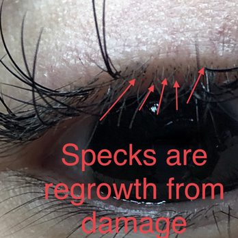 The Lash Wispyer - Damaged - Eyelash Service Near Me - Irving, Texas The Lash Wispyer - Damaged - Eyelash Service Near Me - Irving, Texas