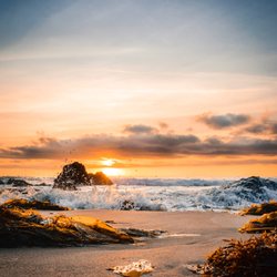 Ulrich Travels