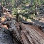 Photo of Will Abell Memorial Trail at Arrowhead Ridge