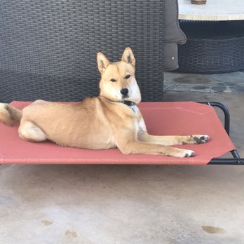 Off Leash K9 Training  - Pet Training Near Me - Murrieta, California