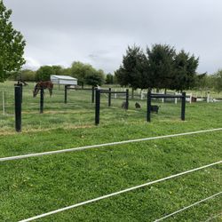 SPOOKY NOOK GREENHOUSE & PRODUCE - Farm animals nearby