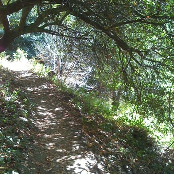 Tilden Regional Park - Parks Near Me - Berkeley, California