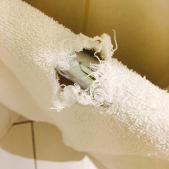 Radisson Blu - Nice hole in towel! - Hotels Near Me - Leeds, XWY