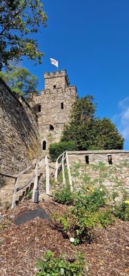 Burg Reichenstein by null