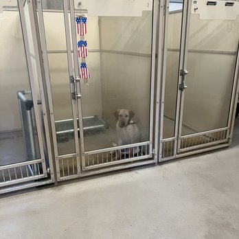 Southern Pine Kennels - Indoor climate controlled suites - Pet Training Near Me - Blackshear, Georgia Southern Pine Kennels - Indoor climate controlled suites - Pet Training Near Me - Blackshear, Georgia