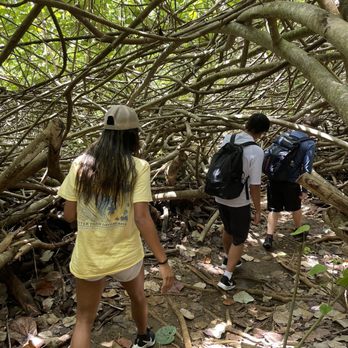 Hike Maui - Tours Near Me - Kahului, Hawaii Hike Maui - Tours Near Me - Kahului, Hawaii