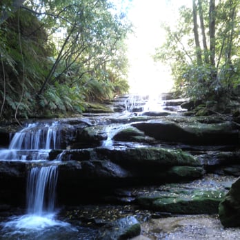 Leura Cascades - Hiking Near Me - Leura, NSW