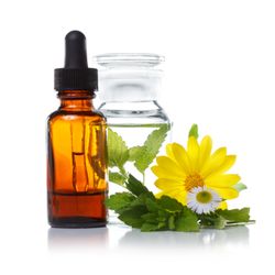 Toni Camacho, HHP, RG - Flower essences